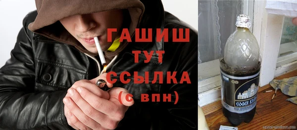 мдпв Ельня