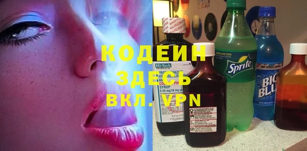прущие грибы Гусь-Хрустальный