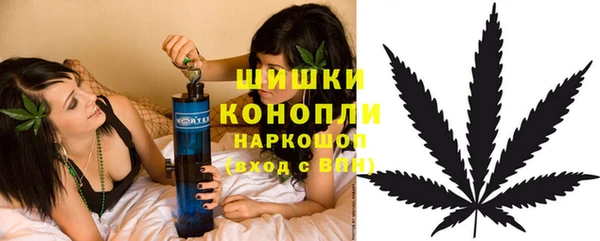 ALPHA-PVP Гусев