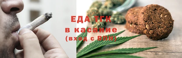 мдпв Ельня