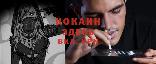 прущие грибы Гусь-Хрустальный