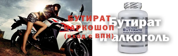 мдпв Ельня