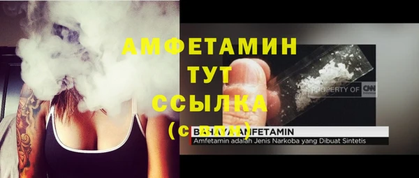 мдпв Ельня