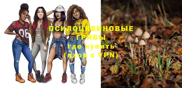 прущие грибы Гусь-Хрустальный