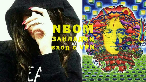 прущие грибы Гусь-Хрустальный