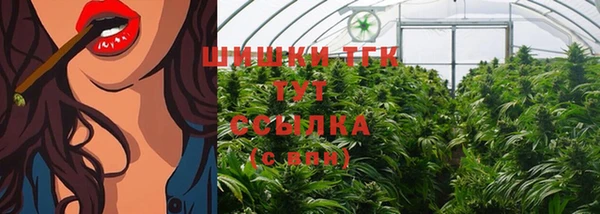 мдпв Ельня