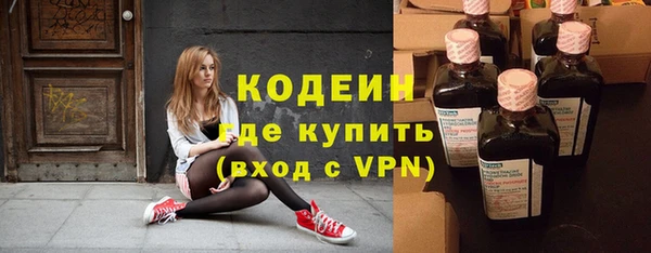 мдпв Ельня