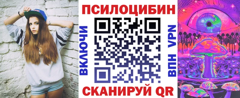 MEGA как войти  Выборг  Галлюциногенные грибы Psilocybe  наркошоп 