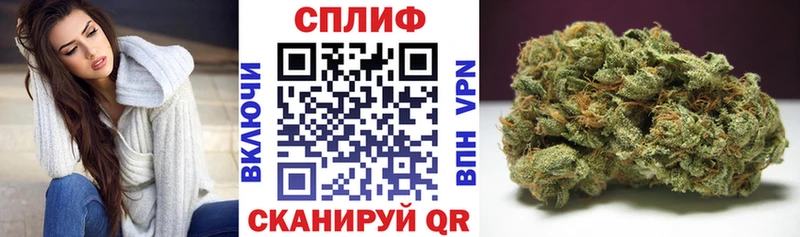 Конопля SATIVA & INDICA гидра как войти Выборг